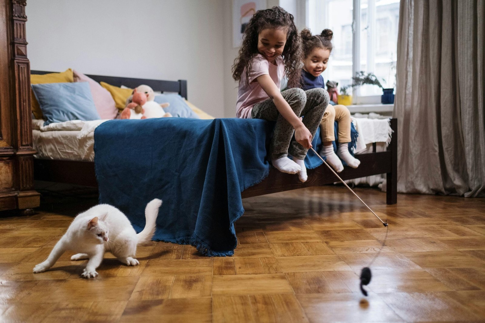 Gato jugando. Juguetes para gatos.